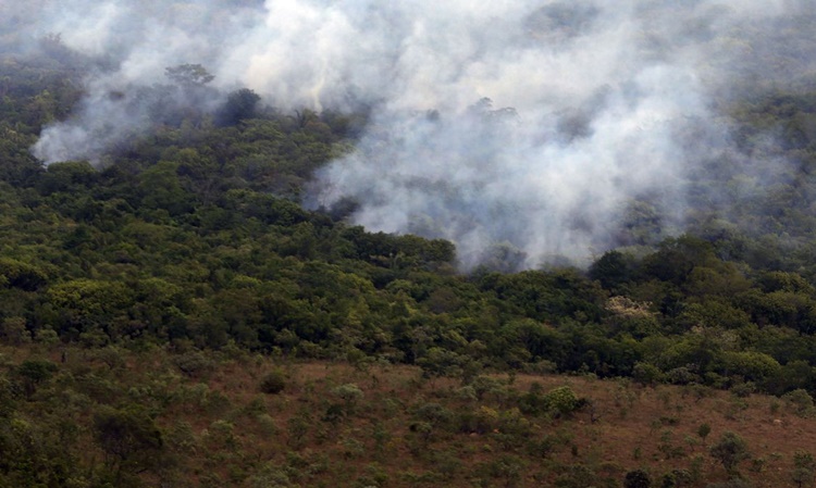 MEIO AMBIENTE: Decreto anunciado proíbe queimadas em todo o Brasil por 120 dias