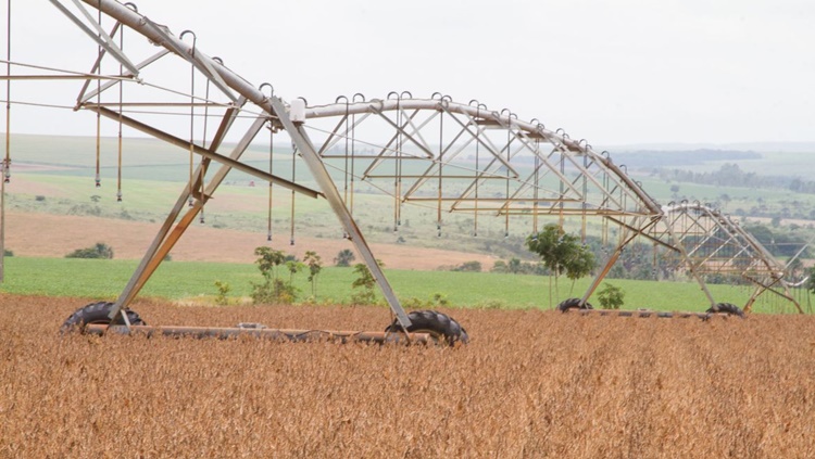 RECONHECIMENTO: Ministério premia empresas do agronegócio por boas práticas