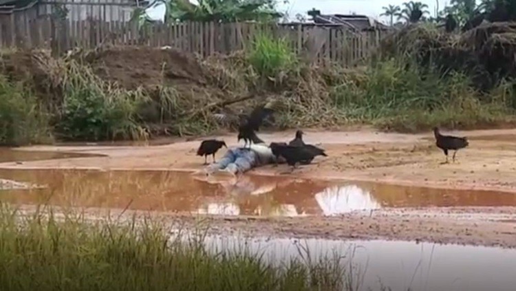 TERRÍVEL: Estuprador de Rondônia é morto e tem corpo devorado por urubus