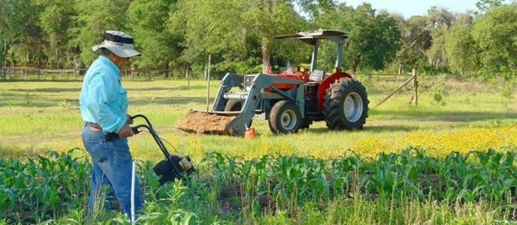 AJUDA: Câmara aprova auxílio emergencial para agricultor familiar na pandemia