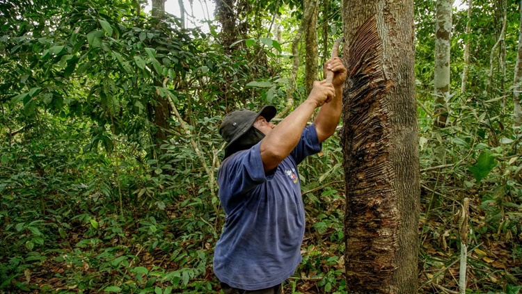 POLÊMICA: Entidades denunciam que unidades de conservação podem ser extintas em Rondônia