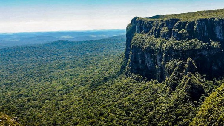 MEIO AMBIENTE: Reserva extrativista em Rondônia terá energia sustentável