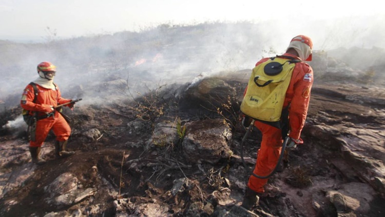 OPORTUNIDADE: Ibama é autorizado a contratar temporariamente 1.659 profissionais