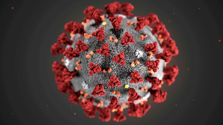 BIOSSENSOR: Cientistas criam testes de covid-19 que traz resultados em tempo recorde