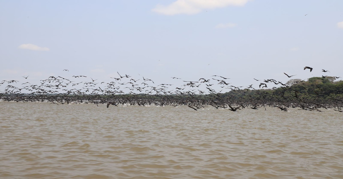 LAGO DO CUNIÃ: Conheça as belezas naturais da Reserva Extrativista