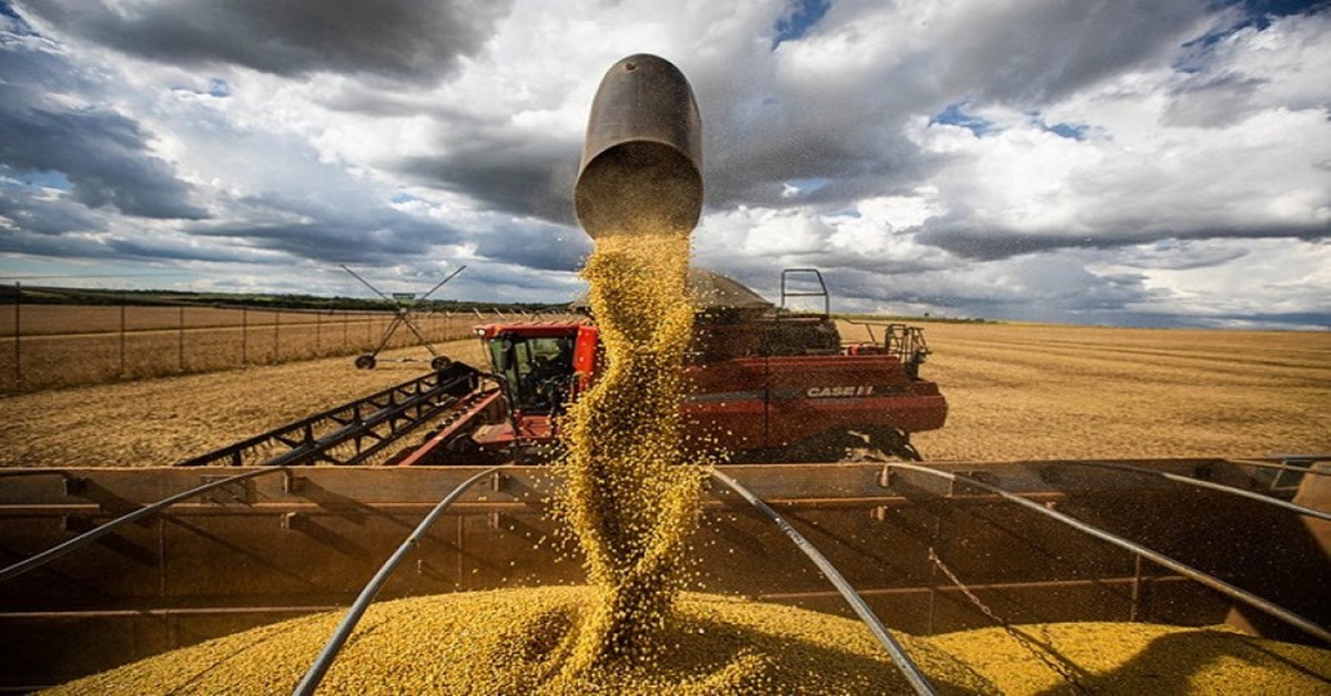 SAFRA 2021/22: Nova estimativa aponta produção de grãos em 268,2 milhões de toneladas