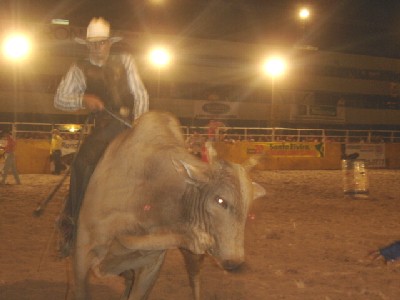 Muito touro “brabo” e peão arremessado no segundo dia do II Rodeio Universitário Qualify