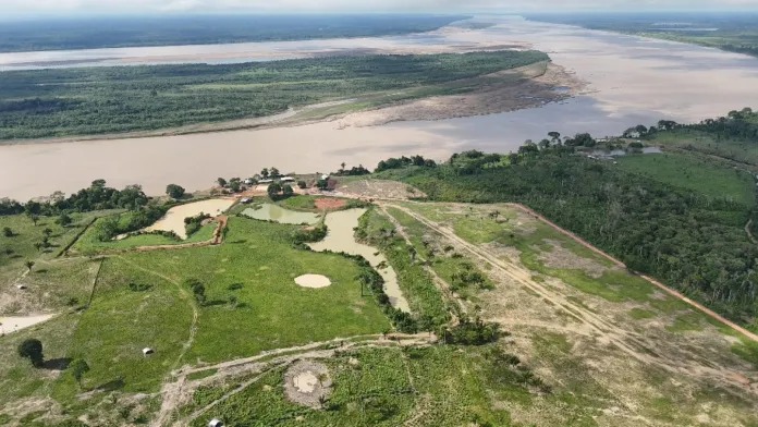 MAIOR DO ANO: Ipaam aplica multa de R$ 24 milhões por maior desmatamento no Amazonas