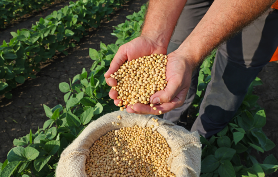 BALANÇA COMERCIAL: Exportações do agronegócio em setembro foram de US$ 13,71 bilhões