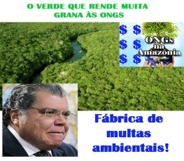 Dinheiro da indústria da multa pode ir também para os cofres das ONGS