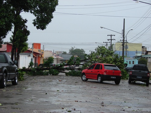 Estragos da chuva provocam danos no centro e periferia da capital - Confira dezenas de fotos