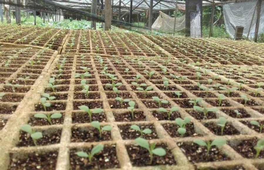 ATITUDE EXTREMA: Agricultor é encontrado morto em chácara nos arredores de Vilhena