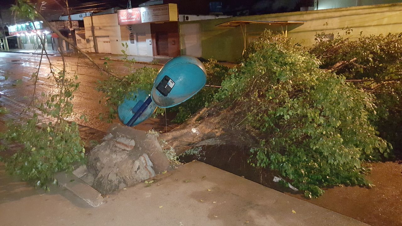 VENTOS: Chuva forte derruba árvore no meio da Avenida Amazonas