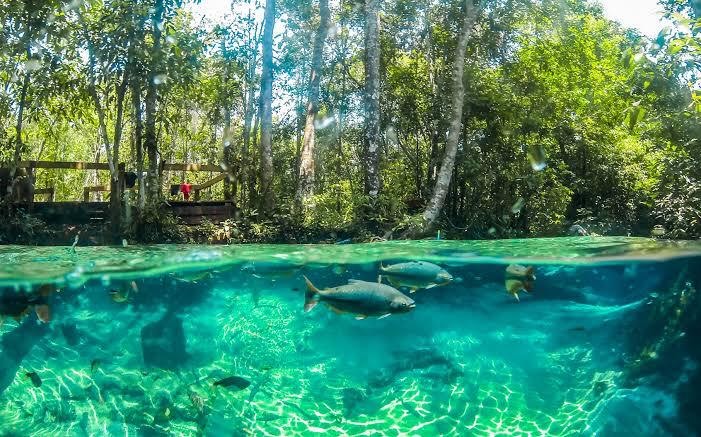  TOUR NAS FÉRIAS: Conheça Nobres-MT em janeiro com a Amazônia Adventure 