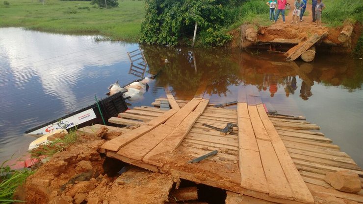 Caminhão carregado de gado cai em ponte e animais morrem