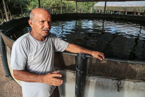 Criador de pirarucu diz que desafio é agregar valor e diminuir custo de produção