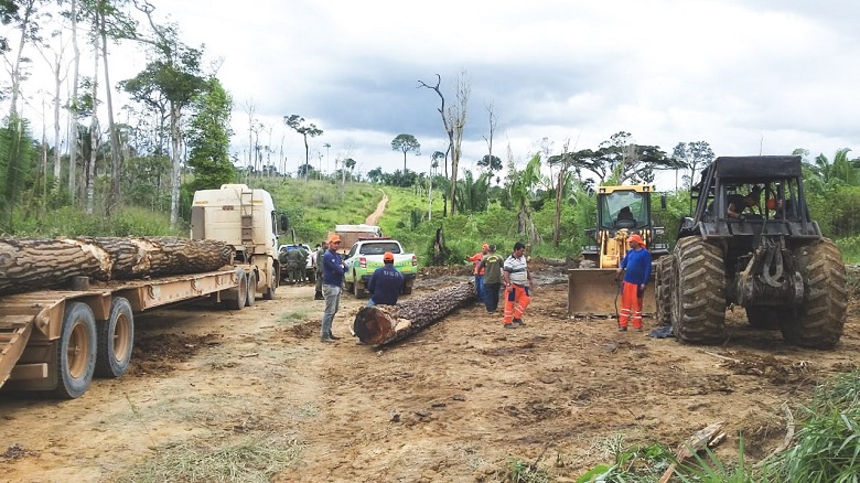 ACESSO: Sedam doa madeiras para reconstrução de pontes atingidas pela barragem