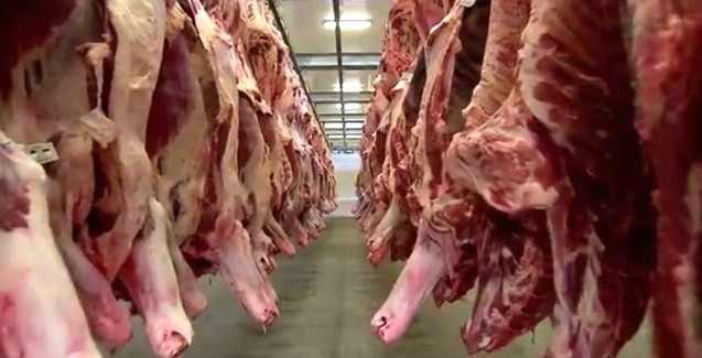 ANALISTA: Exportação da carne bovina apresenta aumento superior a 5% em 2018