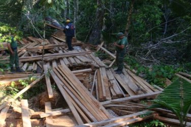 IBAMA-RO intensifica combate aos ilícitos ambientais em Terras Indígenas