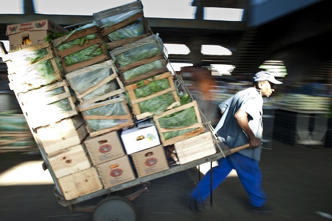 ECONOMIA: Governo estima valor bruto da produção agropecuária em R$ 603 bilhões