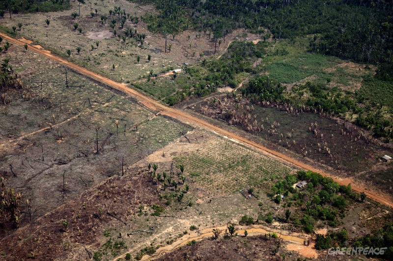 INCÊNDIOS: Porto Velho é o município que mais desmatou na Amazônia, diz Imazon