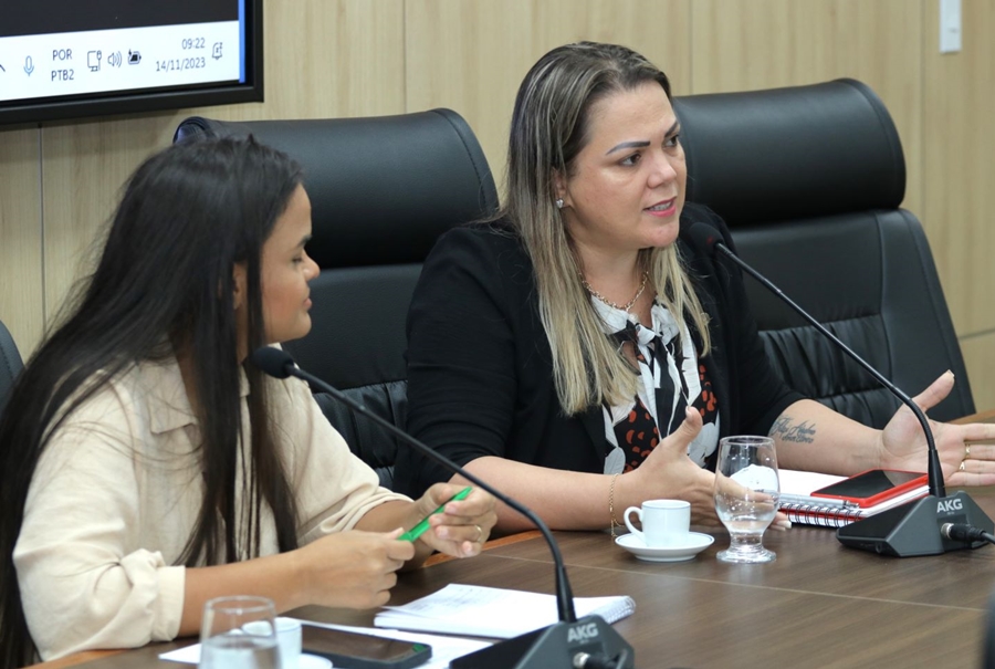 CLÁUDIA DE JESUS: Deputada destaca reunião com ministra das Mulheres em Comissão