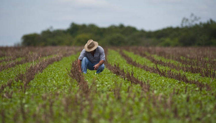 DIA DO AGRICULTOR: Conheça histórias inspiradoras de produtores rurais rondonienses