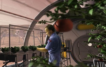 Astronautas poderão plantar alimentos no espaço em 2017