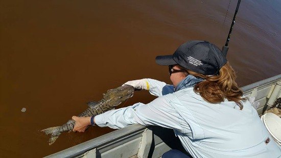 PESCA JACI –  Primeiro torneio de Pesca e Festival e Praia 