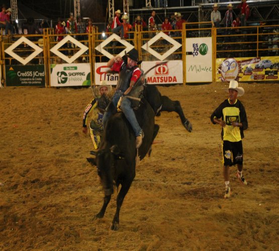 Abertura do Rodeio Profissional atrai multidão na arena