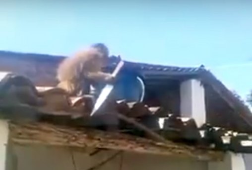 Macaco bebe cachaça e ameaça clientes em bar - VÍDEO