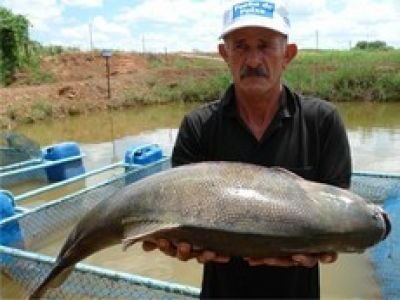 Sedam orienta moradores do PA Joana Darc para criação de peixe
