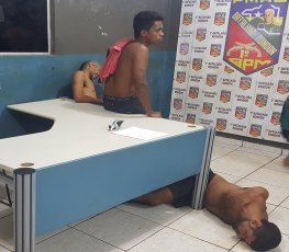 Trio distrai pit bull para furtar residência, mas termina preso