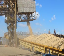 INTERNACIONAL: Rondônia é destaque em exportação de alimentos 