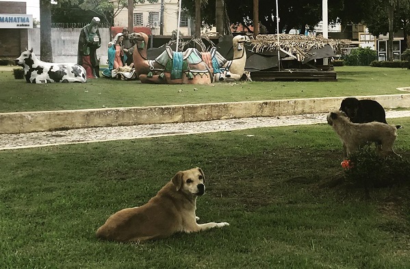 DESLEIXO?? - VÍDEO: Presépios natalinos ainda decoram prefeitura de Porto Velho