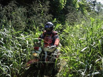 Selva toma conta do leito da E.F.M.M. e pilotos tem dificuldades no percurso - Confira as fotos