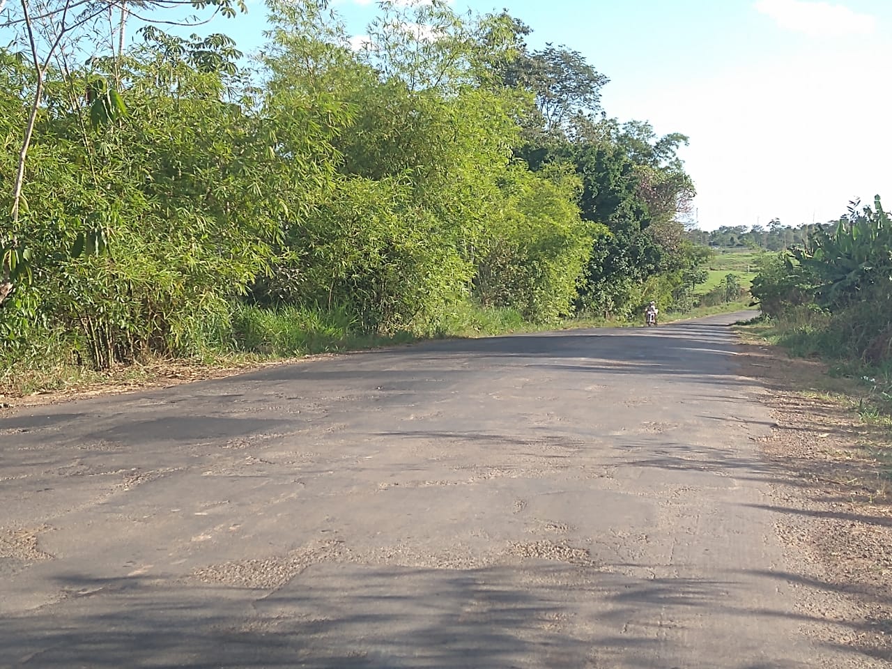 Solicitação Licença Ambiental Simplificada - LAS