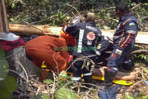 Trabalhador é atingido por árvore durante limpeza de linhão