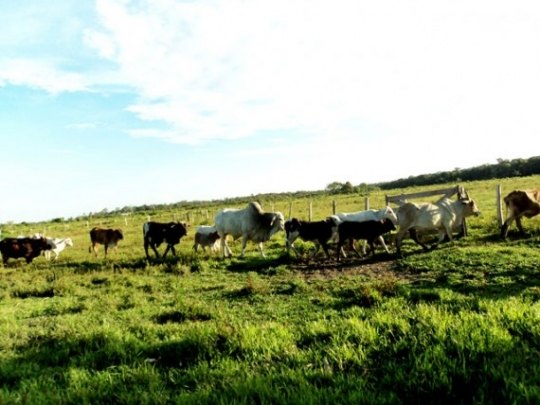 Governo inicia regularização de 1.500 propriedades na região Sul de Rondônia