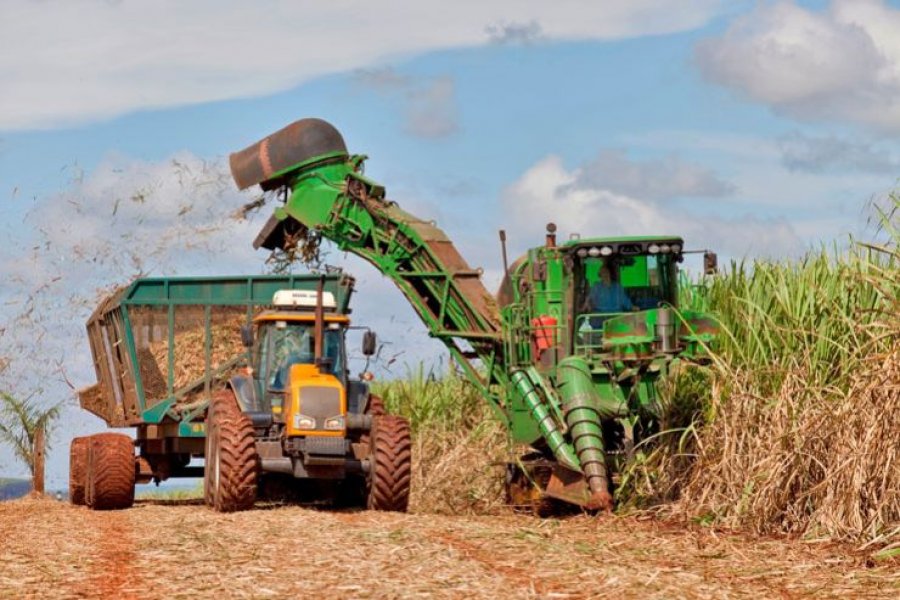 SAFRA: Aumenta a produtividade de canaviais brasileiros e diminui a área ocupada pela cana