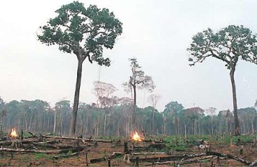 Imazon detecta aumento do desmatamento em Rondônia no mês de agosto