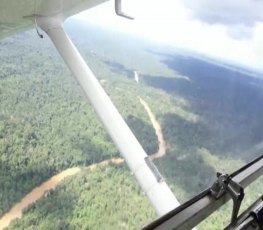 Piloto faz pouso forçado em meio a selva amazônica - VÍDEO