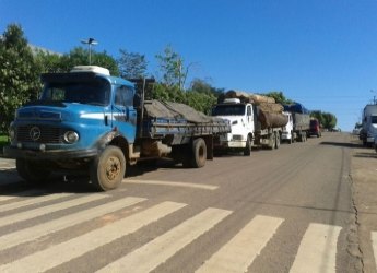 Caminhões com 70 metros de madeira ilegal são apreendidos