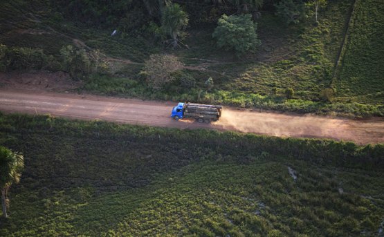 Procuradoria vê risco de genocídio em Rondônia