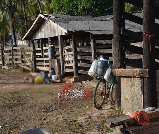 Produtor rural de 72 anos é encontrado morto em curral 