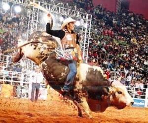 Festa de Peão de Boiadeiro será realizada em Cerejeiras