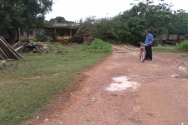 Forte temporal derruba árvore e deixa rua interditada