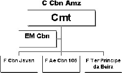 Organização da Operação Timbó III