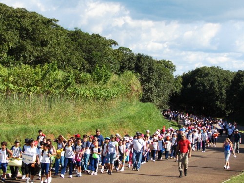 Colégio Objetivo realiza caminhada ecológica -  fotos