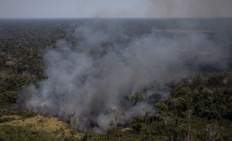 FOGO: Monitoramento Rural mostra que a Floresta do Jacundá está se acabando 